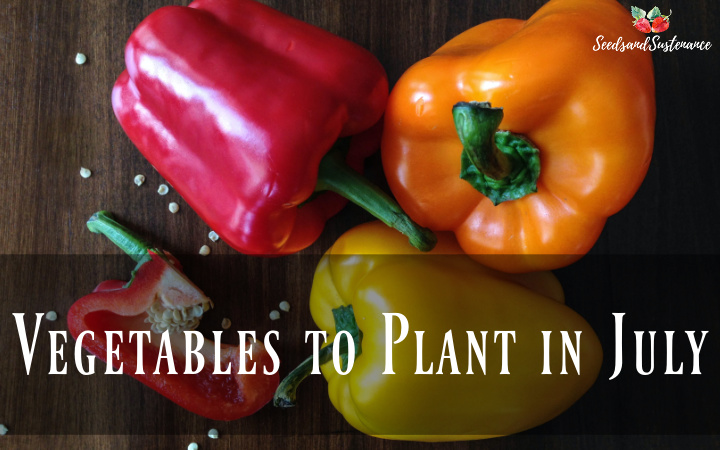 what vegetables to plants in July - three fresh bell peppers