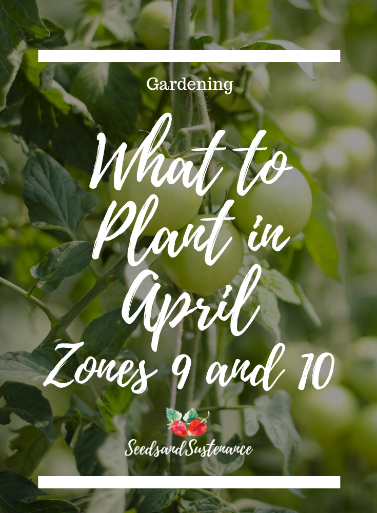 What to plant in April zones 9 and 10