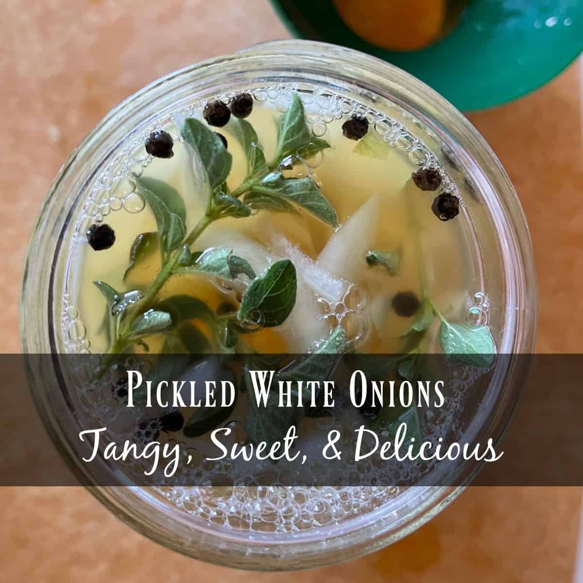Pickled White Onions Tangy, Sweet, & Delicious Seeds & Sustenance
