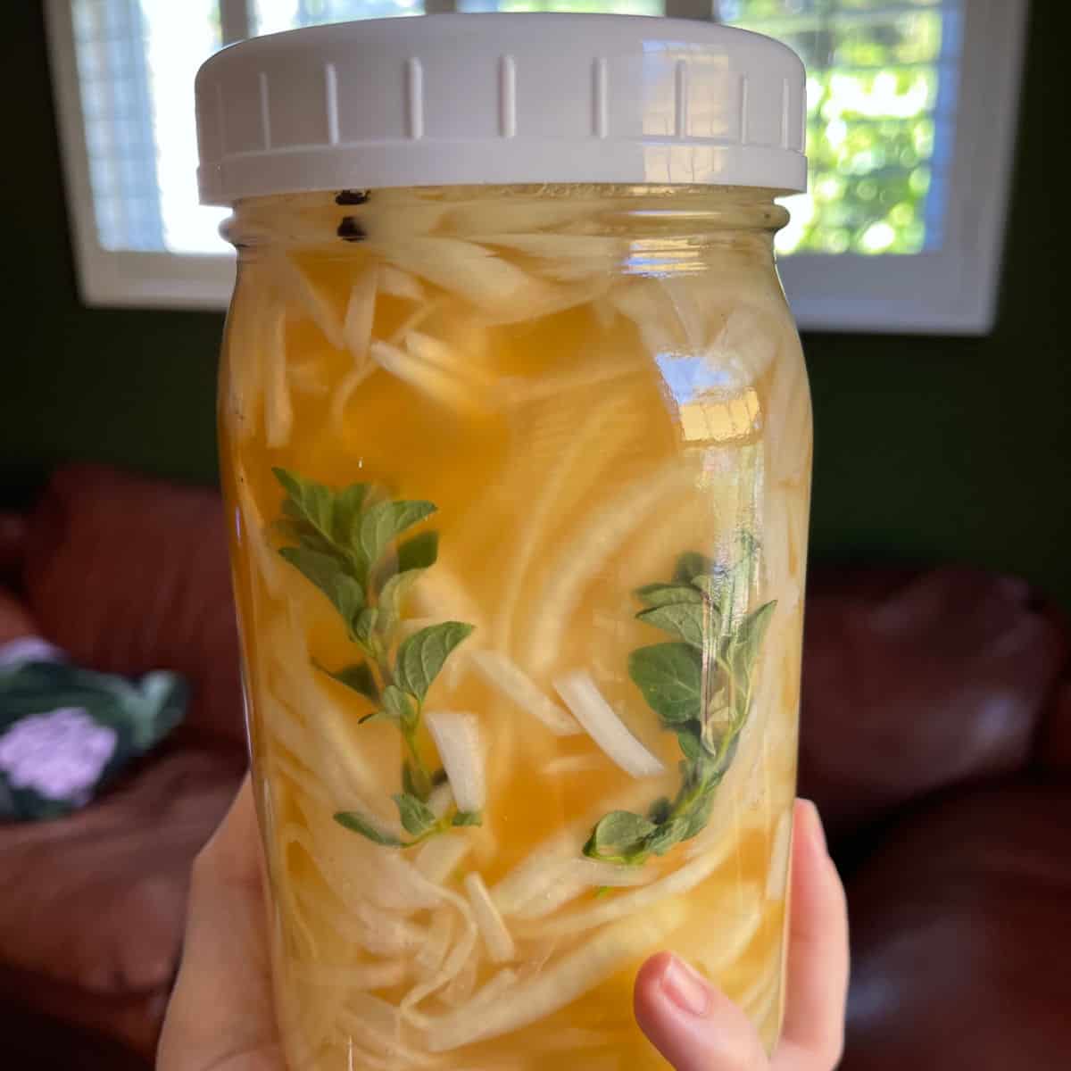 white pickled onions in a jar